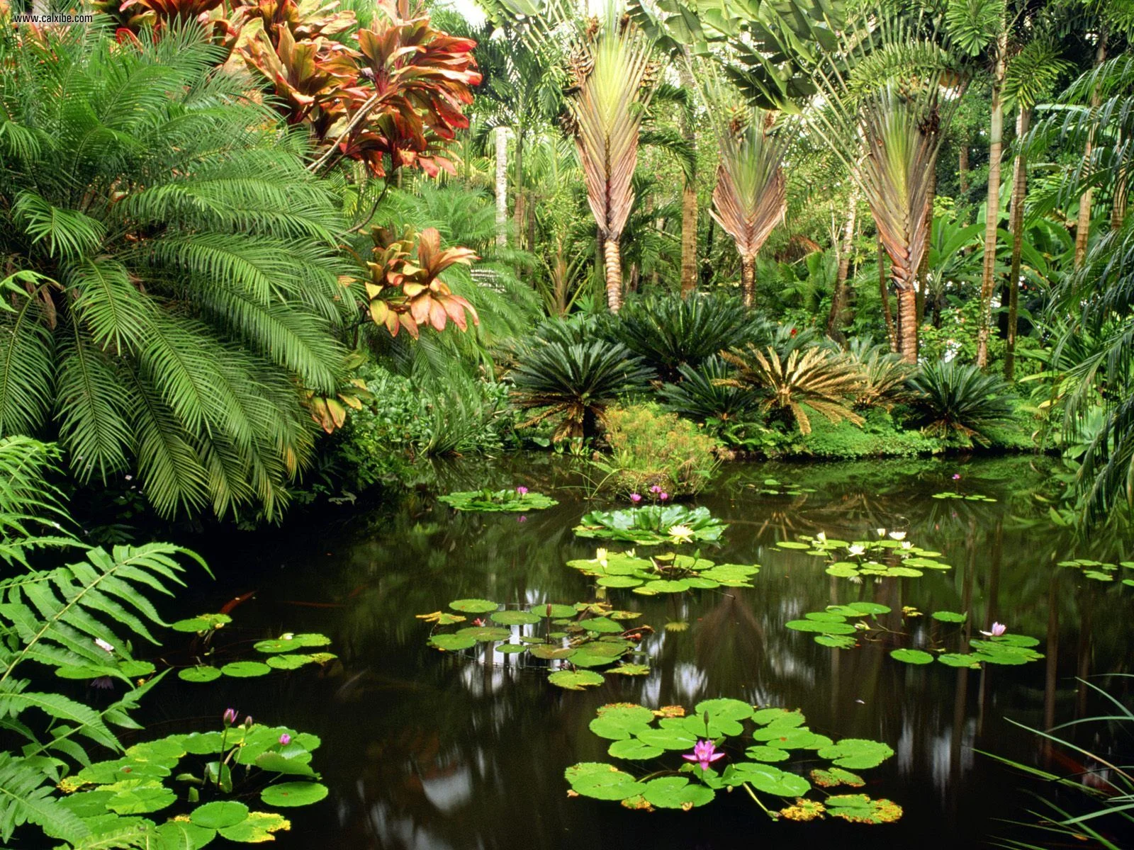 Botanical Gardens