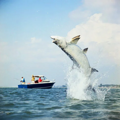 Fishing