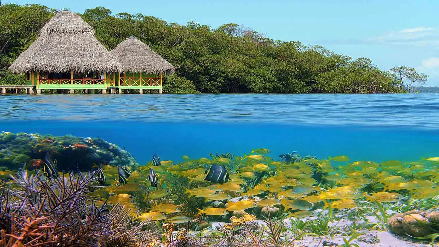 Isla Colón